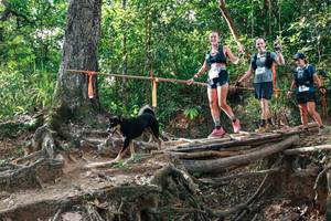 BIB: 
                            <button type="button" onclick="openModal(27555631)" class="btn btn-primary btn-sm float-right btn-popup" data-toggle="modal" data-target=".modal-high-quality">
                        <i class="fas fa-shopping-cart"></i> Add to Cart
                    </button>
                                            <button type="button" onclick="isThisMe(27555631, true)" class="btn btn-success btn-sm float-right btn-popup btn-isme hidden" data-toggle="tooltip" data-placement="bottom" title="นี่คือรูปของคุณใช่ไหม คลิกที่นี่เพื่อเอาเข้าอัลบั้ม">
                        <i class="fas fa-plus"></i> Add to album
                    </button>
                    <button type="button" onclick="isThisMe(27555631, false)" class="btn btn-warning btn-sm float-right btn-popup btn-isnotme hidden">
                        <i class="fas fa-ban"></i> Remove from album
                    </button>